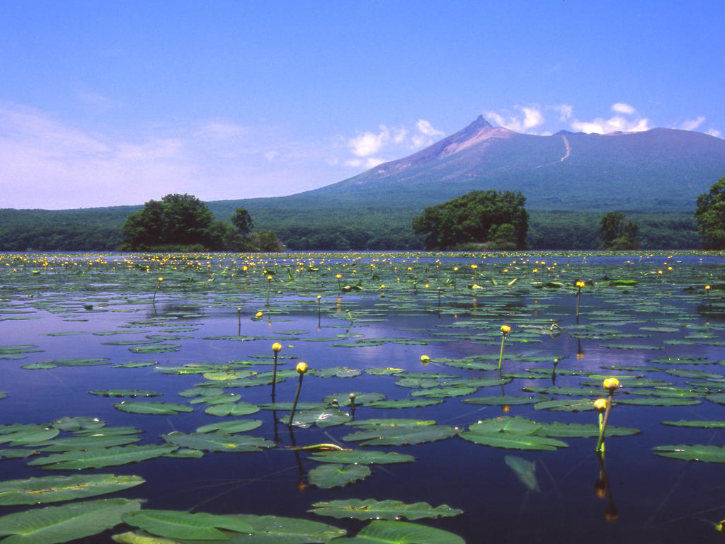 Royal Hotel Minami Hokkaido Shikabe Luaran gambar
